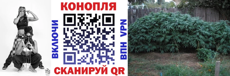 Бошки марихуана тримм  Купить закладки  Бикин 